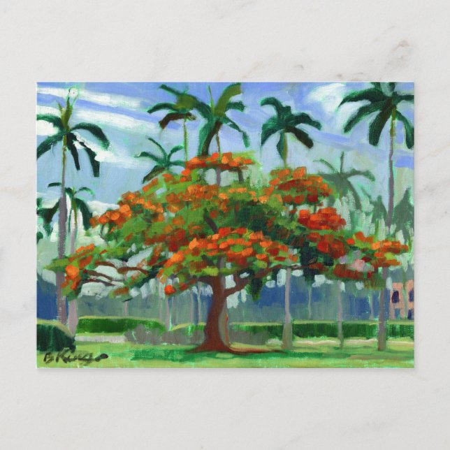 Cartão postal Royal Poinciana (Frente)