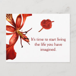 Cartão postal Royal Poinciana