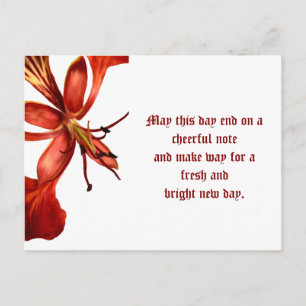 Cartão postal Royal Poinciana