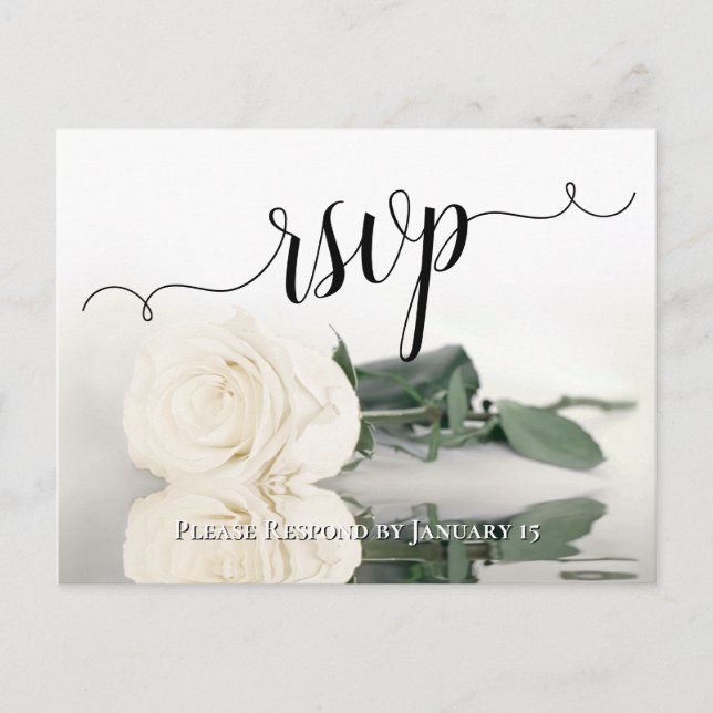 Cartão Postal RSVP de Casamento de Rosa de marfim branco reflexi (Frente)