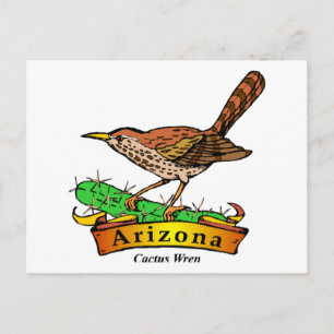 Cartão Postal Rua arizona. Flor Cactus Wren