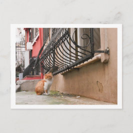 Cartão Postal Rua Cat 1