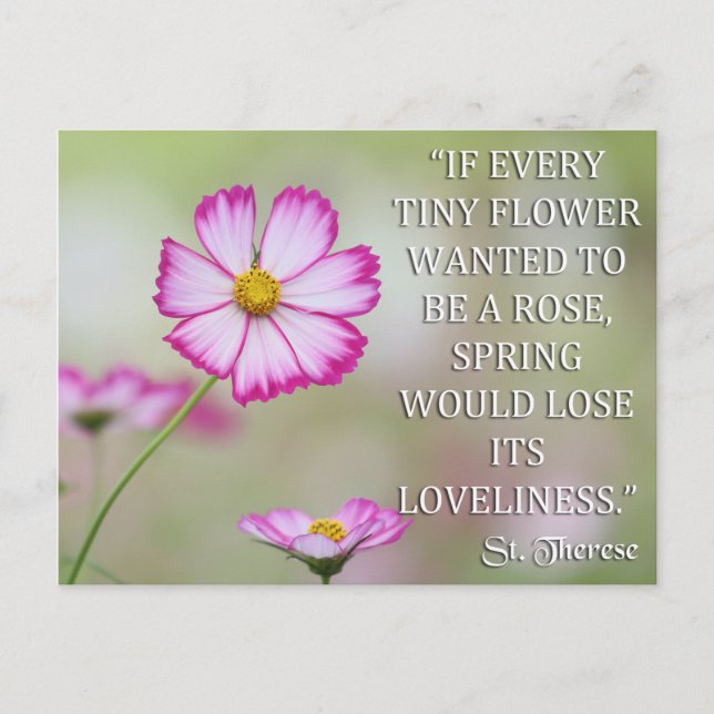 CARTÃO POSTAL RUA DO LISIEUX, SE CADA FLORESTA PEQUENA QUISER (Frente)