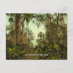 Cartão Postal Rua. Johns River Florida 1898 Foto