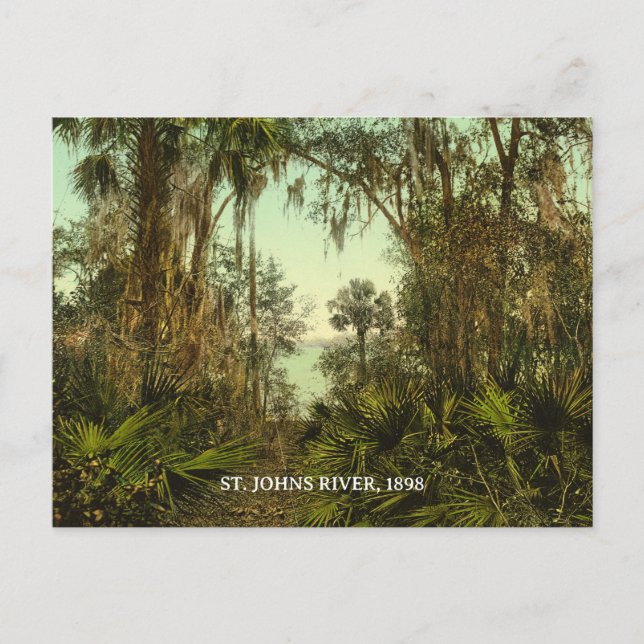 Cartão Postal Rua. Johns River Florida 1898 Foto (Frente)