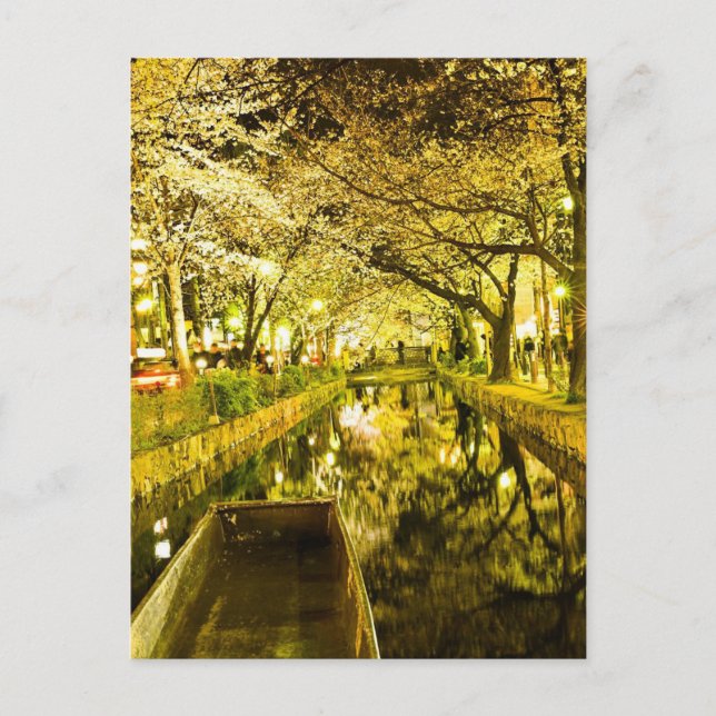 Cartão Postal "Rua Kiyamachi em Sakura Glow (Frente)