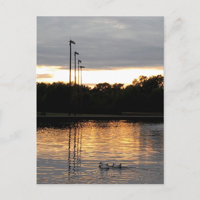 Cartão Postal Rua, Parque Ferdinand (Frente)