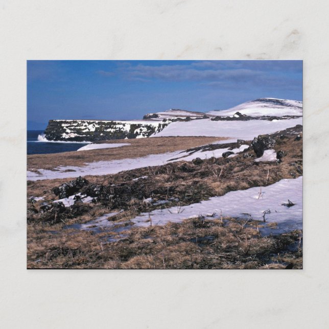 Cartão Postal Rua. Paul Island Bird cliffs, sudoeste Point (Frente)