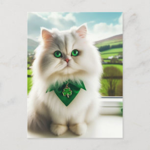 Cartão Postal Ruas Bonitas. Dia dos Patricinhos Gato Branco Fluf