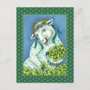 CARTÃO POSTAL RUAS. DIA DE PATRICK IRISH EWE, SHEEP & SHAMROCKS