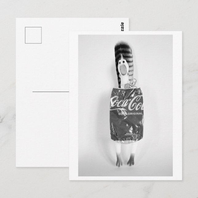 Cartão Postal Rubber chicken with soda can dress - Coq à Cola (Frente/Verso)