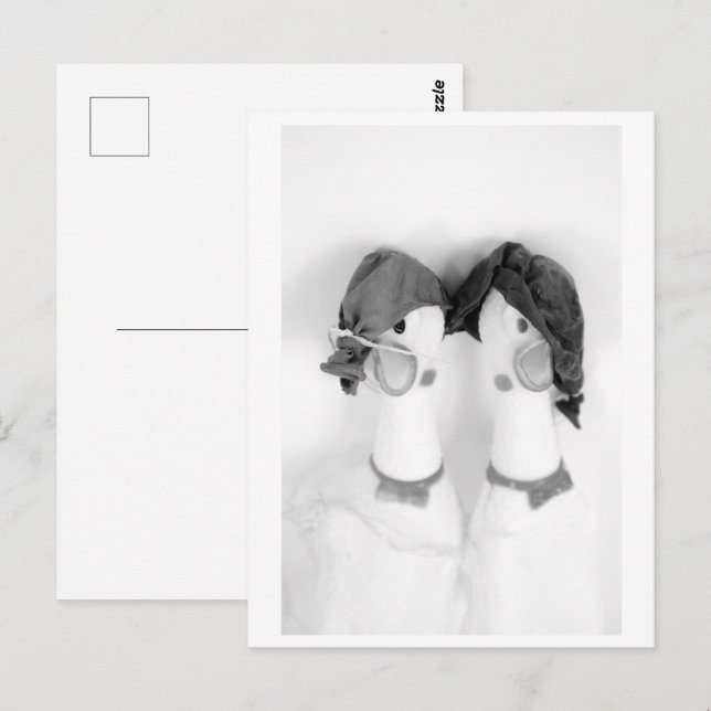 Cartão Postal Rubber chickens - The Balloon Twins (Frente/Verso)