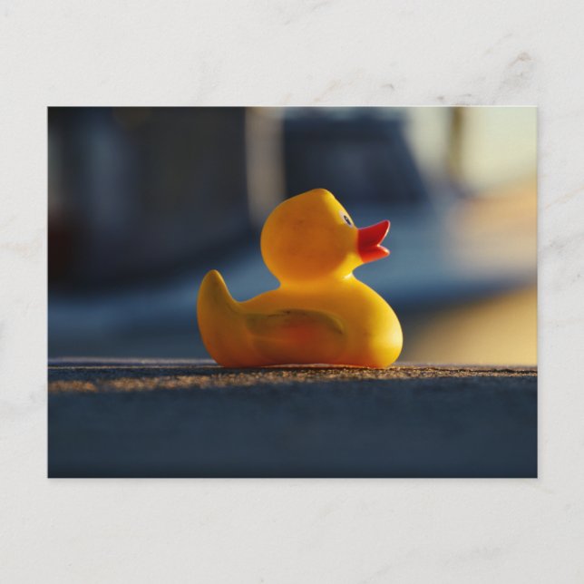 Cartão Postal Rubber Duckie (Frente)