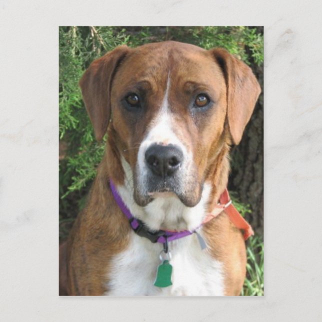 Cartão Postal Ruby (Frente)