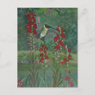 Cartão Postal Ruby-garganta e Flor Cardeal