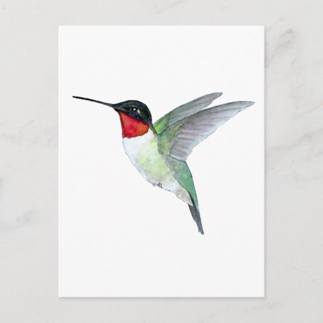 Cartão Postal Ruby-throated Hummingbird (Frente)