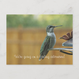 Cartão Postal Ruby Throated Hummingbird