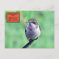 Ruby Throated Hummingbird 00Cartão postal