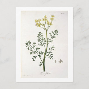 Cartão Postal Rue de 'Phytographie Medicale' por Joseph Roques