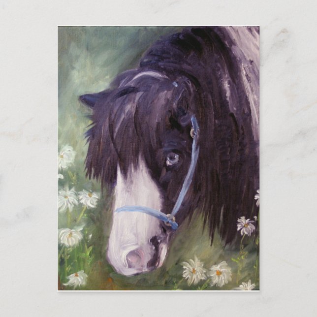 Cartão postal rufo (Frente)