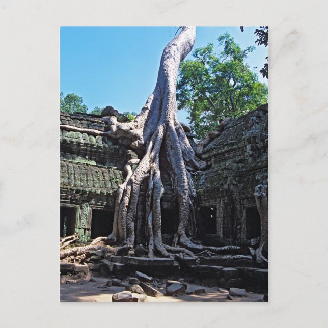 Cartão Postal Ruína de Ta Prohm - Angkor Wat, Camboja, Ásia (Frente)