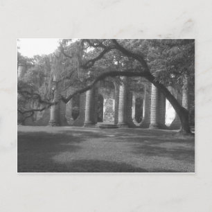 Cartão Postal Ruínas da Igreja do Velho Sheldon em Yemassee, SC