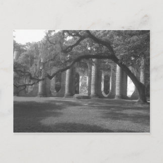 Cartão Postal Ruínas da Igreja do Velho Sheldon em Yemassee, SC