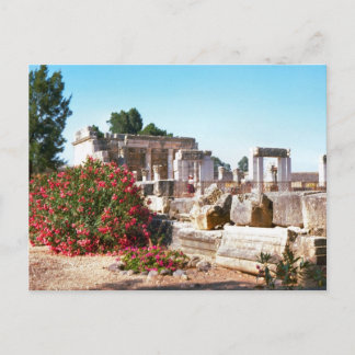 Cartão Postal Ruins of Capernaum, Galilee