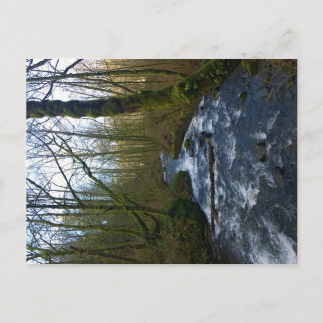 Cartão Postal Runoff from Bridal Veil Falls, Oregon (Frente)