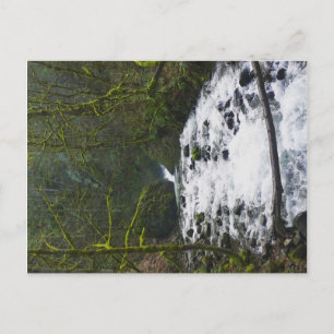 Cartão Postal Runoff from Bridal Veil Falls, Oregon