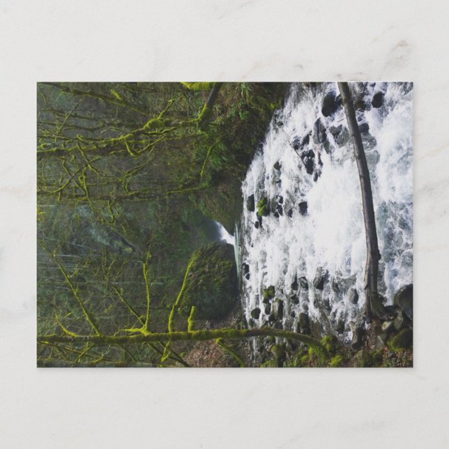 Cartão Postal Runoff from Bridal Veil Falls, Oregon (Frente)