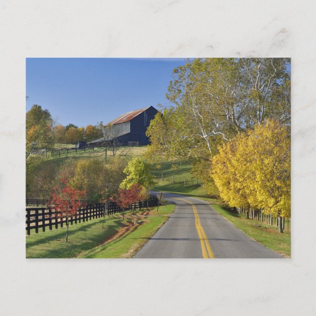 Cartão Postal Rural road through Bluegrass region of Kentucky (Frente)