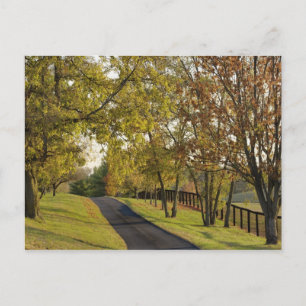 Cartão Postal Rural road through Bluegrass region of Kentucky 2