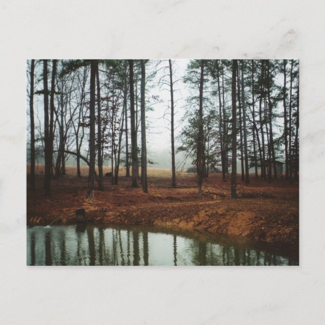 Cartão Postal Rustic Pond (Frente)