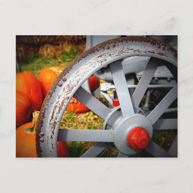 Cartão Postal Rustic Pumpkins (Frente)
