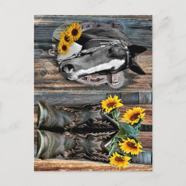 Cartão Postal Rustic Western Horse Cowboy Botas Sunflower (Frente)