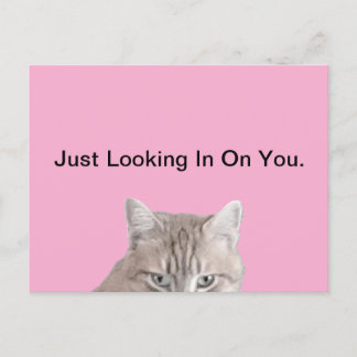 Cartão Postal Rusty, o Cartão-Postal Rosa Gato