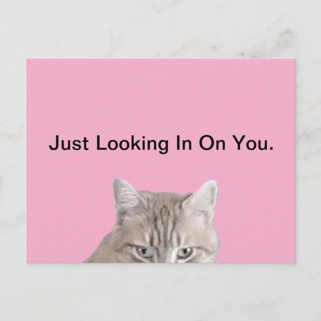 Cartão Postal Rusty, o Cartão-Postal Rosa Gato (Frente)