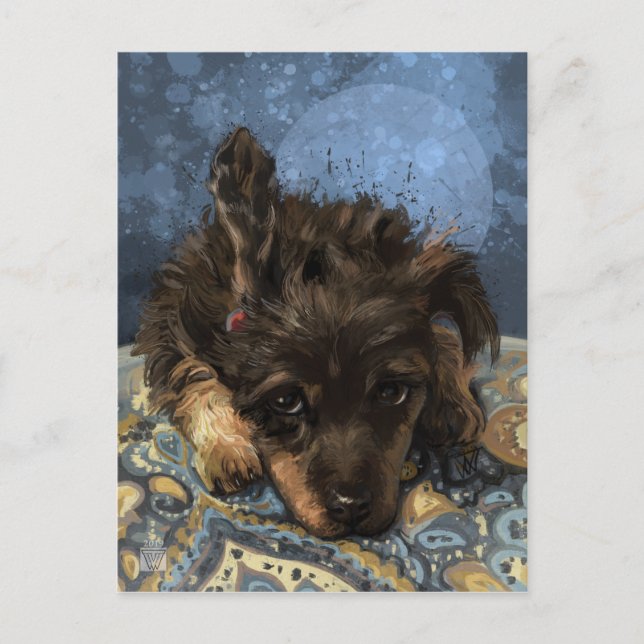 Cartão Postal Rusty, o Poodle (Frente)