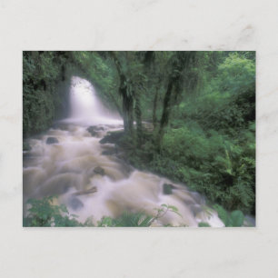 Cartão Postal SA, Peru, S.H. Machu Picchu, Cascade e nuvem