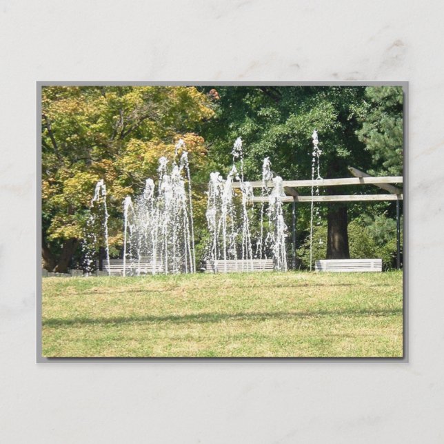 Cartão Postal sábado no outono (Frente)