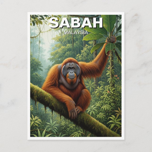 Cartão Postal Sabah Malaysia Orangutan Travel (Frente)