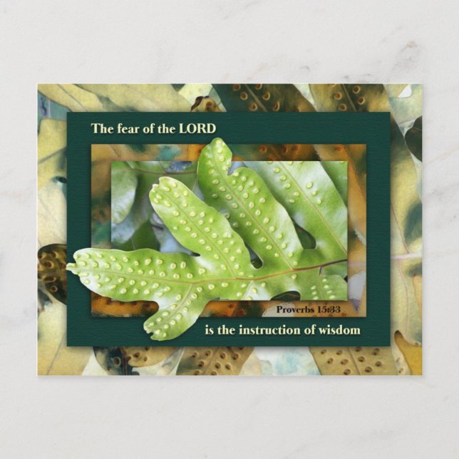 Cartão Postal Sabedoria do Senhor (Frente)