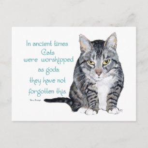 Cartão Postal Sabedoria Felina - nos tempos antigos, gatos eram