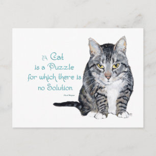 Cartão Postal Sabedoria Felina - um Gato é um Enigma