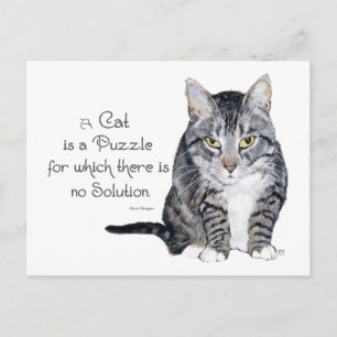 Cartão Postal Sabedoria Felina - um Gato é um Enigma