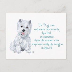 Cartão Postal Sabedoria Westie - Cauda ou língua?