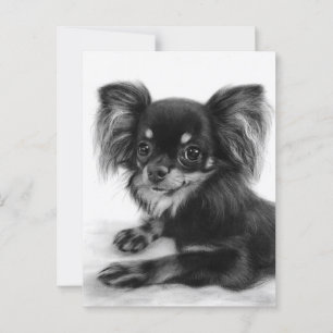 Cartão Postal Sábios Olhos - Retrato Chihuahua Pintado Pela Mão