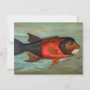 Cartão Postal Sacramento Pike por John L Petrie