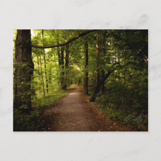 Cartão Postal Sacred Grove, Palmyra, Nova York